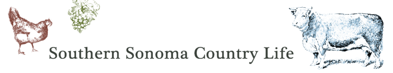 Southern Sonoma Country Life logo