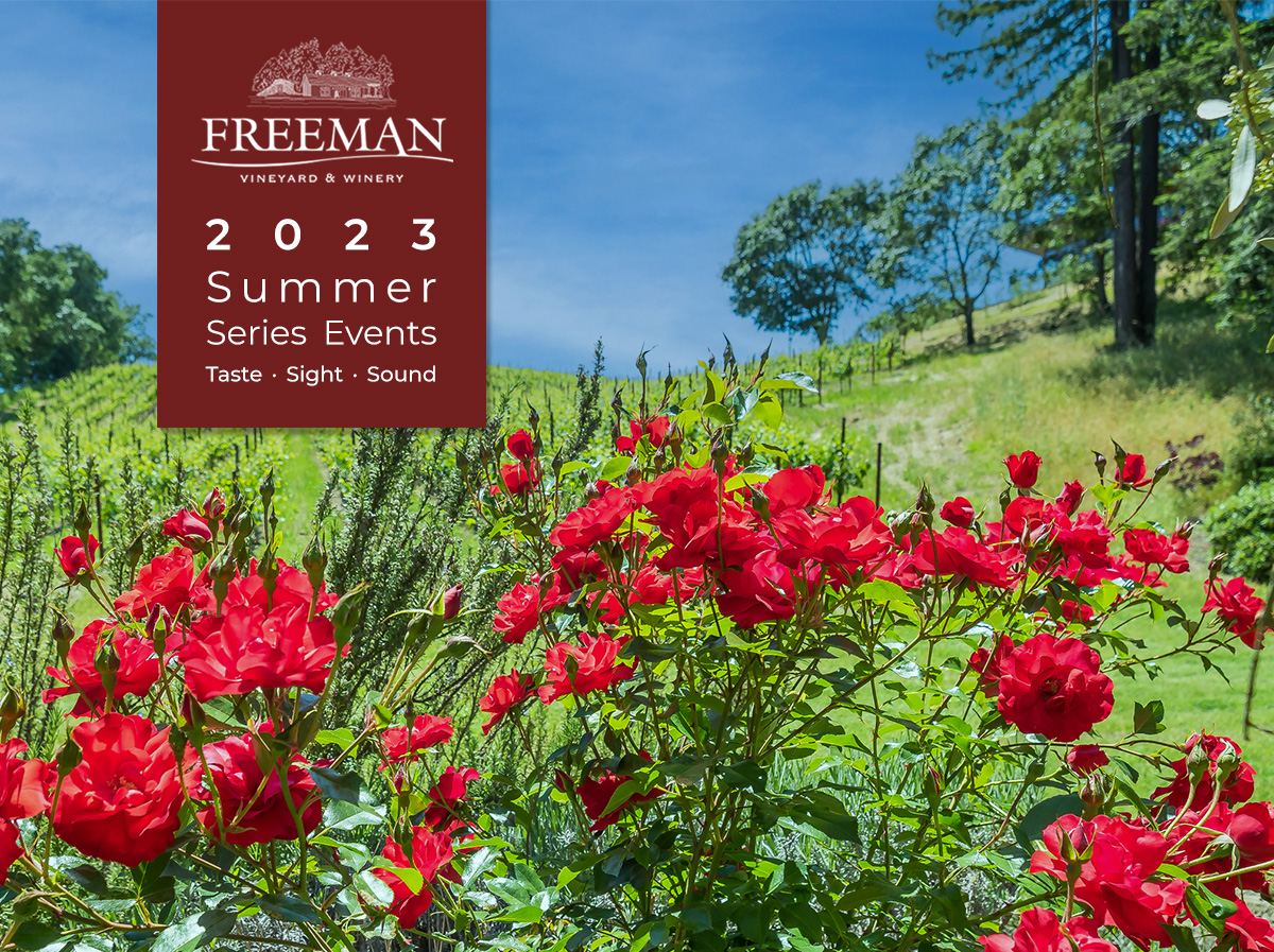 2023 Freeman Summer Series Events banner