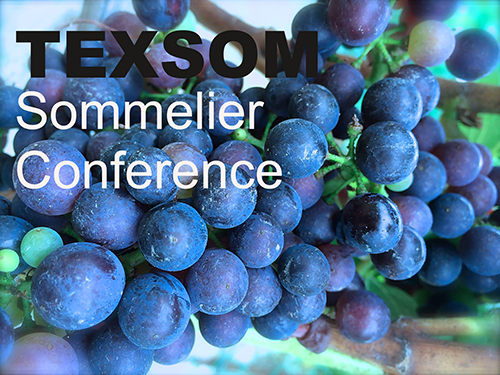 Texsom 2017