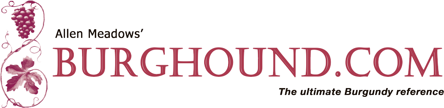 BURGHOUND.com &ndash; The ultimate Burgundy reference logo